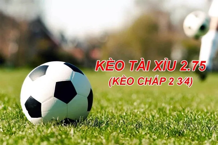 Tuyệt Chiêu Đánh Kèo 2.75 Giúp Người Chơi Tối Ưu Hóa Lợi Nhuận Khủng Mỗi Ngày