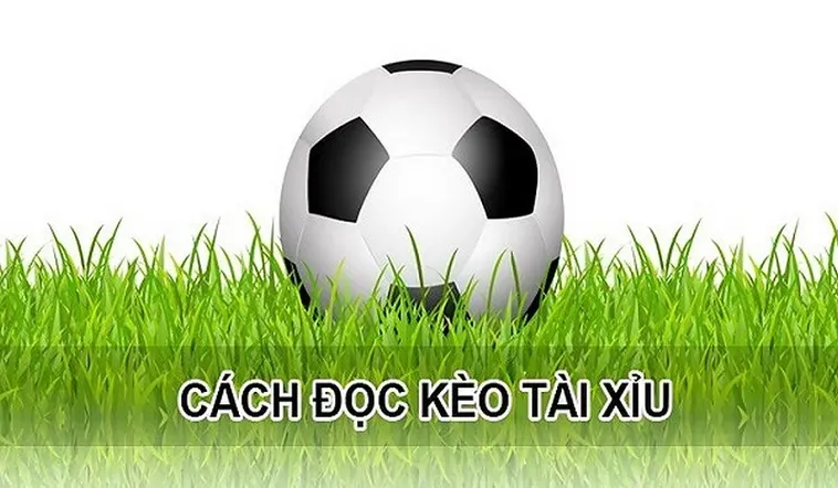 Bí Quyết Chinh Phục Kèo Tài Xỉu Đỉnh Cao Giúp Người Chơi Làm Chủ Mọi Trận Cầu