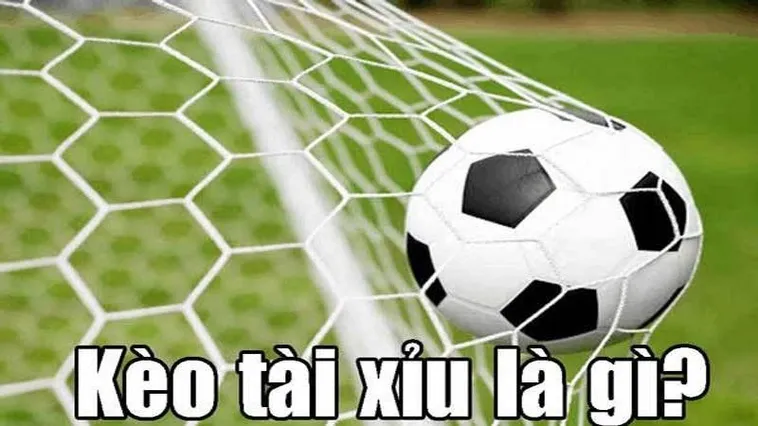 Kèo Tài Xỉu Bóng Đá Và Chiến Thuật Đặt Cược Hiệu Quả Cho Mọi Người Chơi