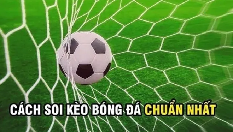 Tuyệt Chiêu Đánh Kèo Rung Trong Bóng Đá Giúp Người Chơi Thắng Lớn Mỗi Trận